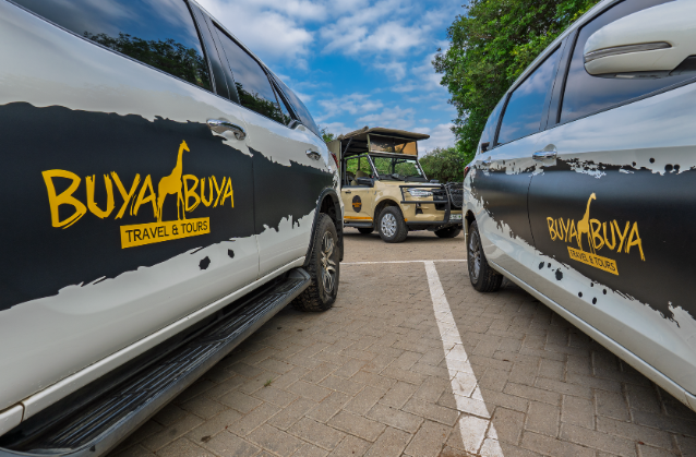 Untitled design - 2026-03-02T221344.073