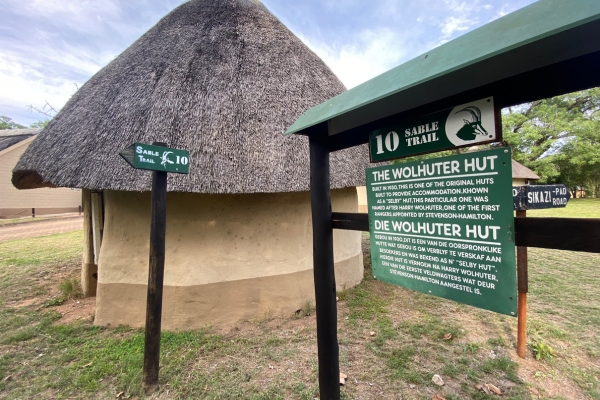Kruger National Park – A Beginners Guide To The Park
