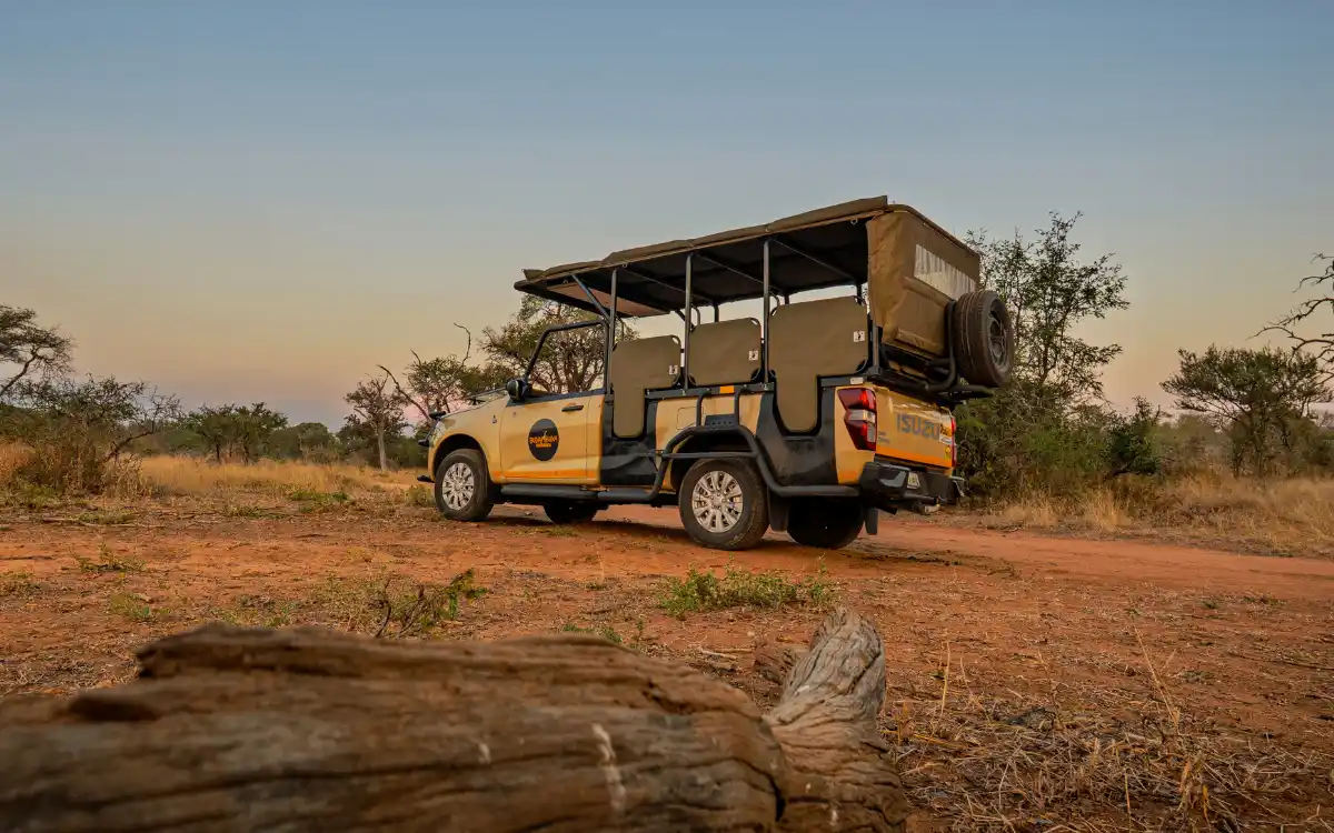 Kruger Park day safari