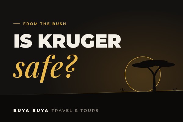Is Kruger National Park Safe? Honest Answers from a Local